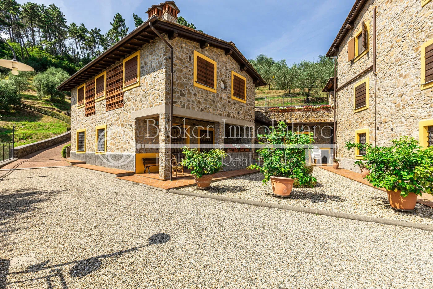 Gallery photo 10