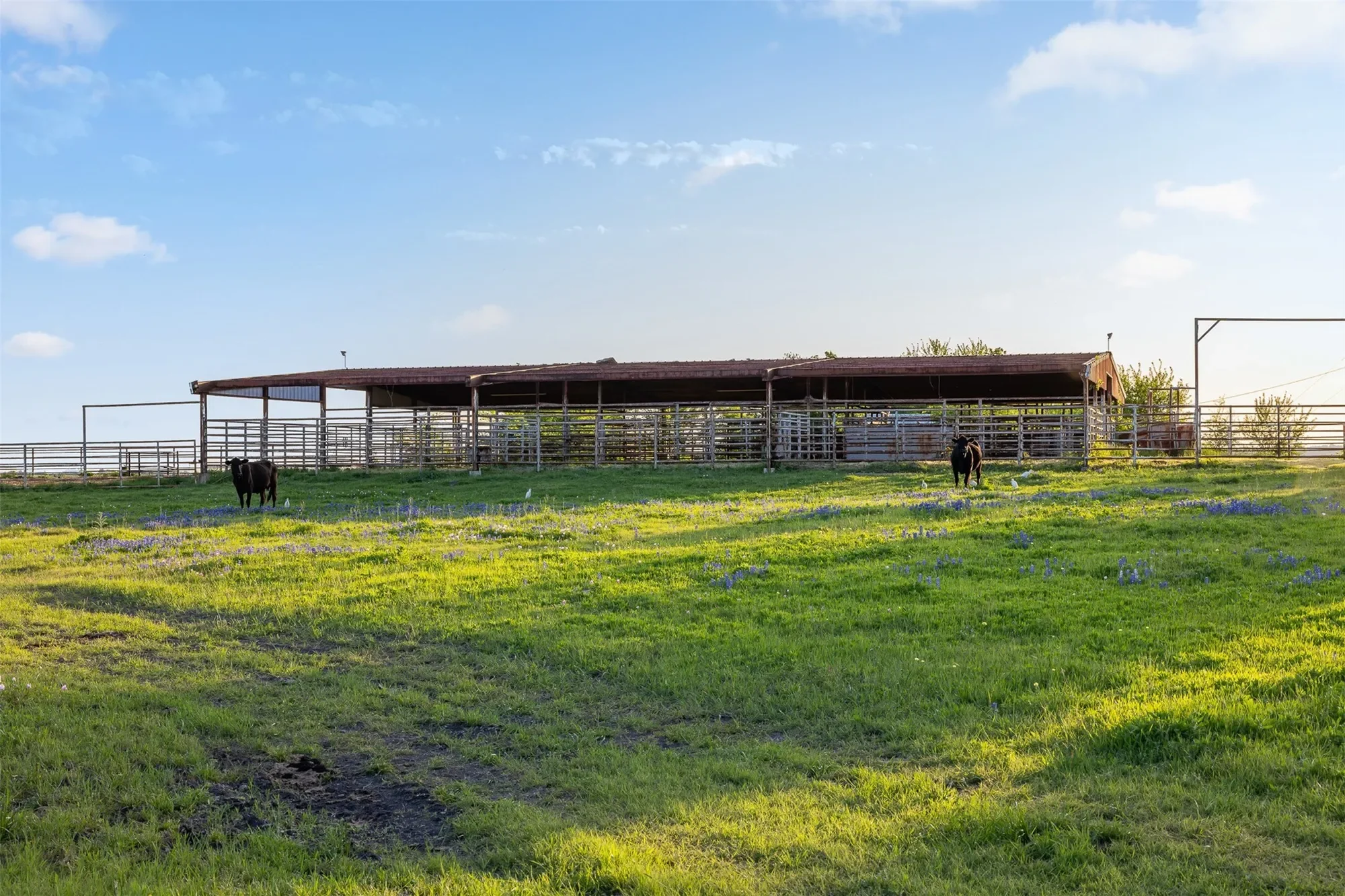 5107 Bovista Ranch Road, Navasota, TX 77868, Navasota, Texas, United States. - Photo 39
