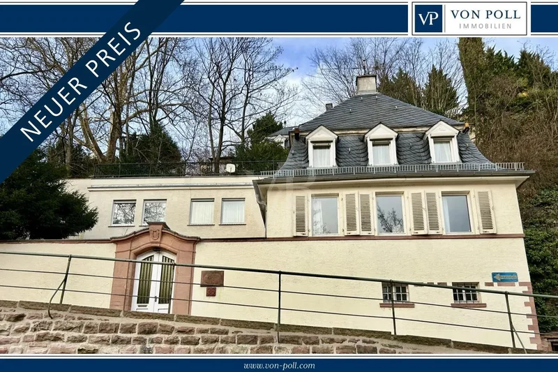 Heidelberg, Baden-Württemberg, Germany. - Photo 22