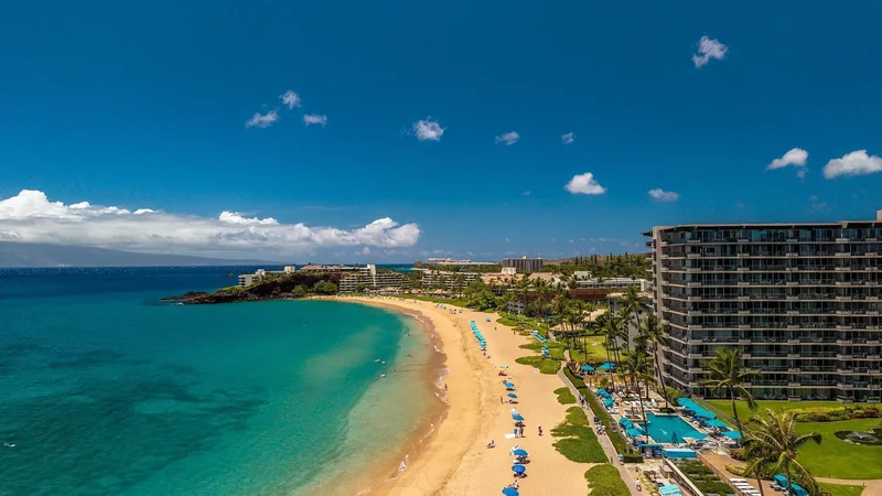 2481 Kaanapali Pkwy, Lahaina, HI 96761, Lahaina, Hawaii, United States. - Photo 26