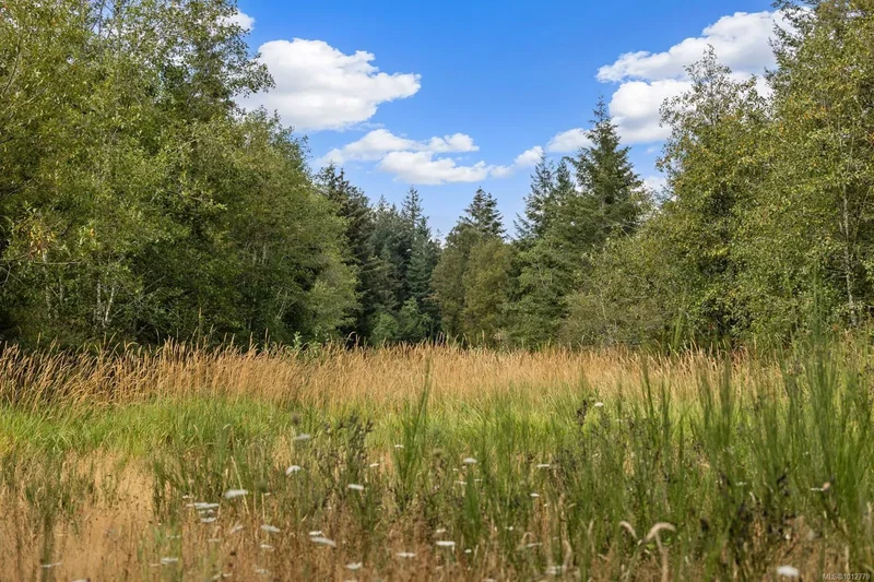 37-acre ALR property is a blank canvas awaiting you!