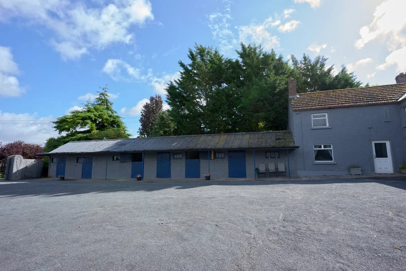 Mount Prospect Stud  , Rathangan, KE R51 X337, Rathangan, County Kildare, Ireland. - Photo 35