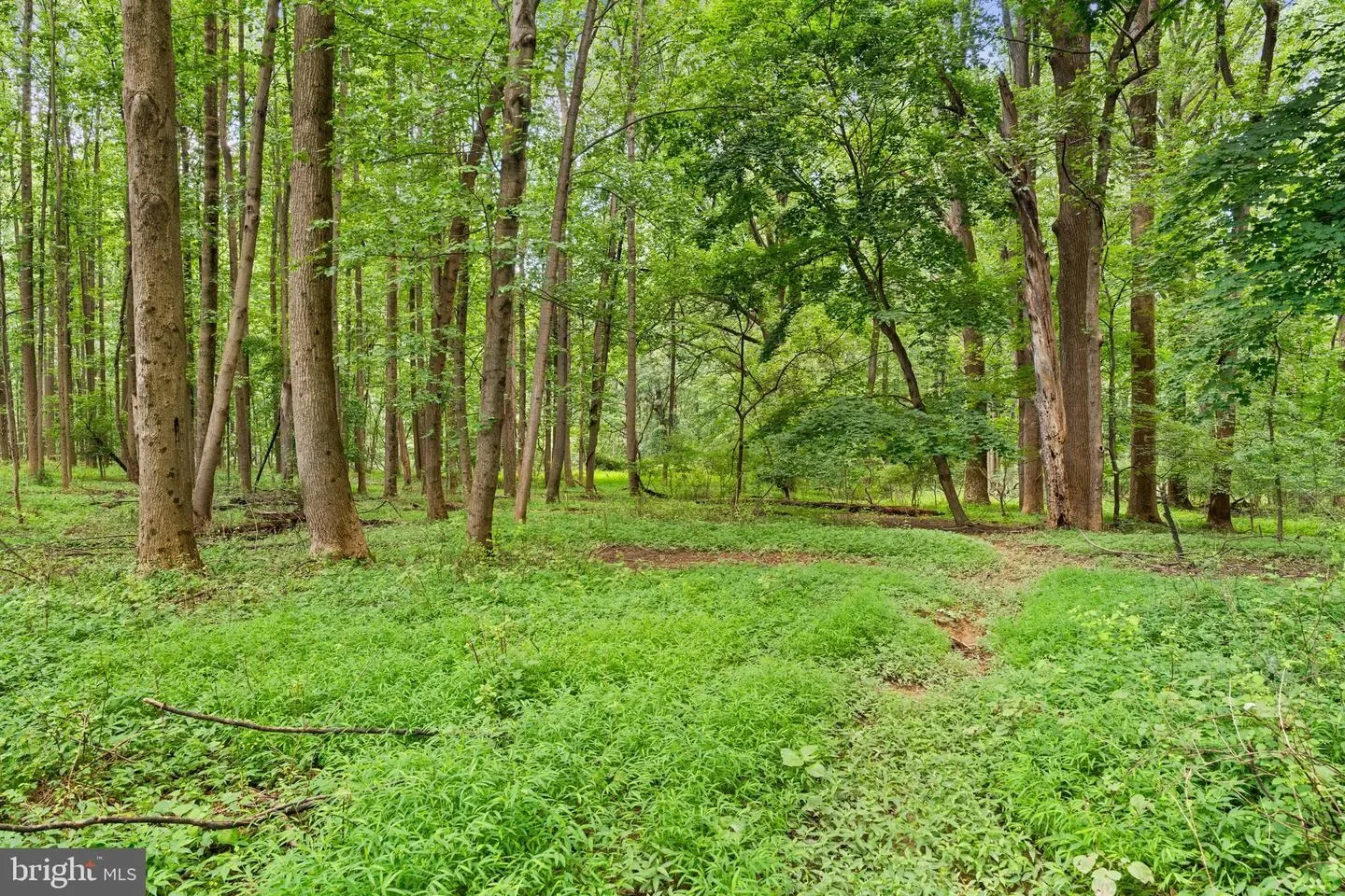 3320 Offutt Rd, RANDALLSTOWN, MD 21133, Randallstown, Maryland, United States. - Photo 14