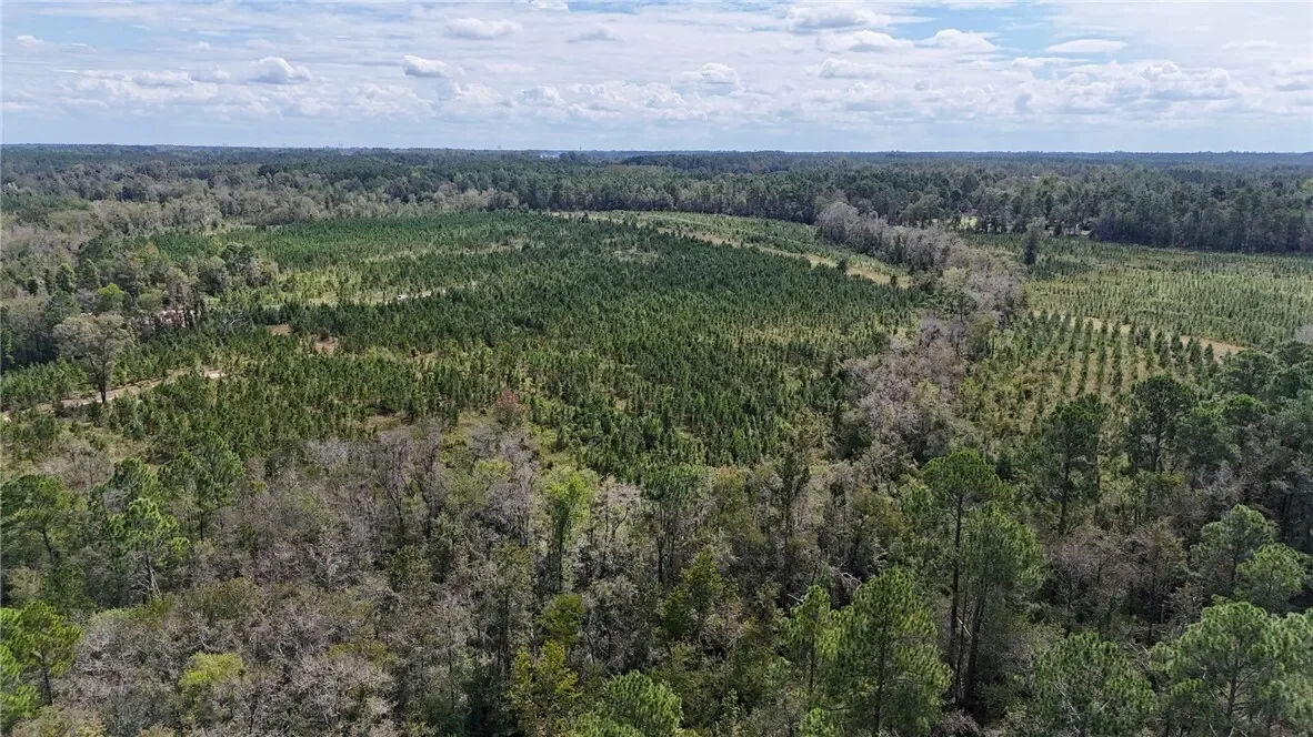 0 Ernest Carter Road, Other, GA 31539, Hazlehurst, Georgia, United States. - Photo 7