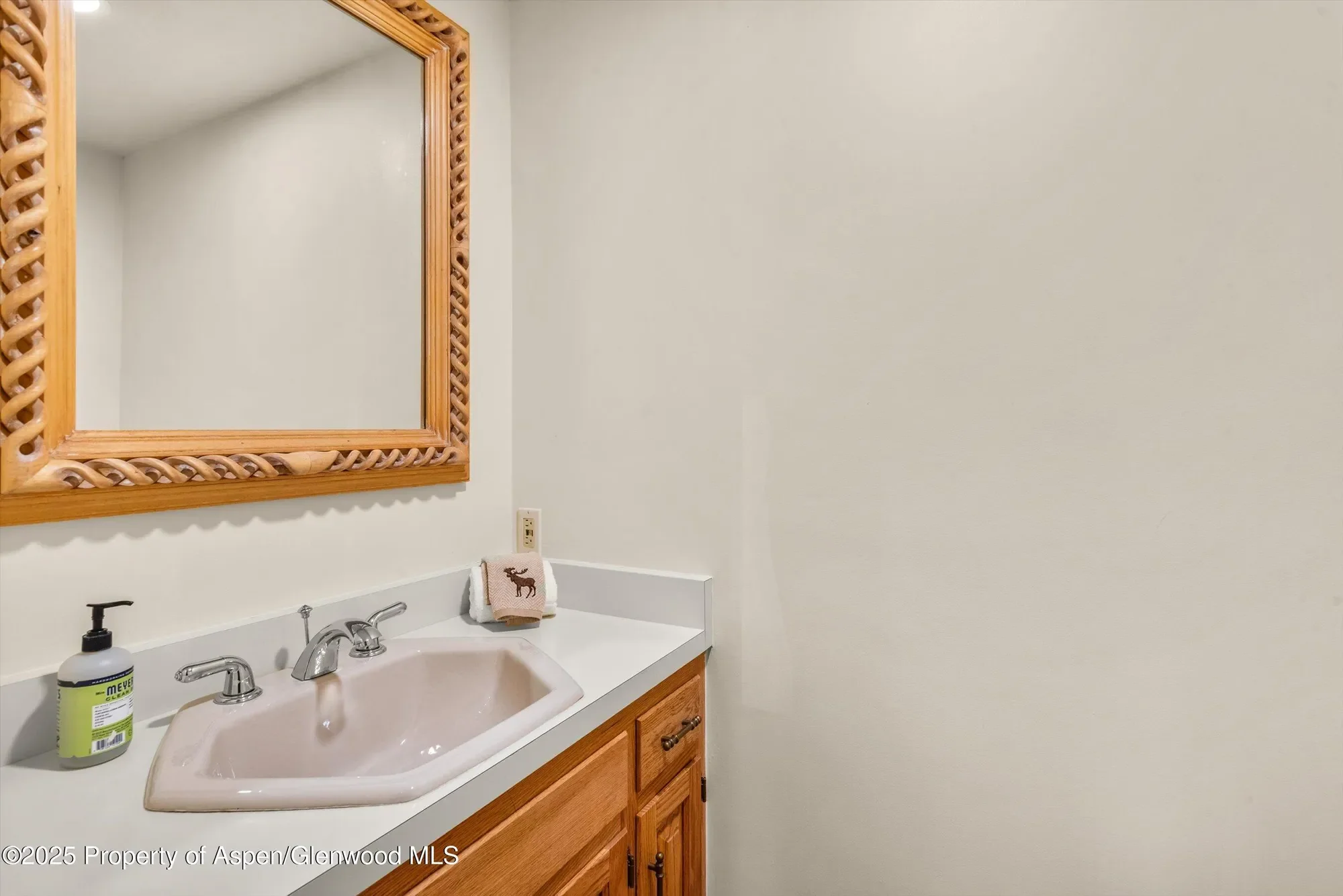 259 Deer Ridge Lane, Snowmass Village, CO, United States. - Photo 22