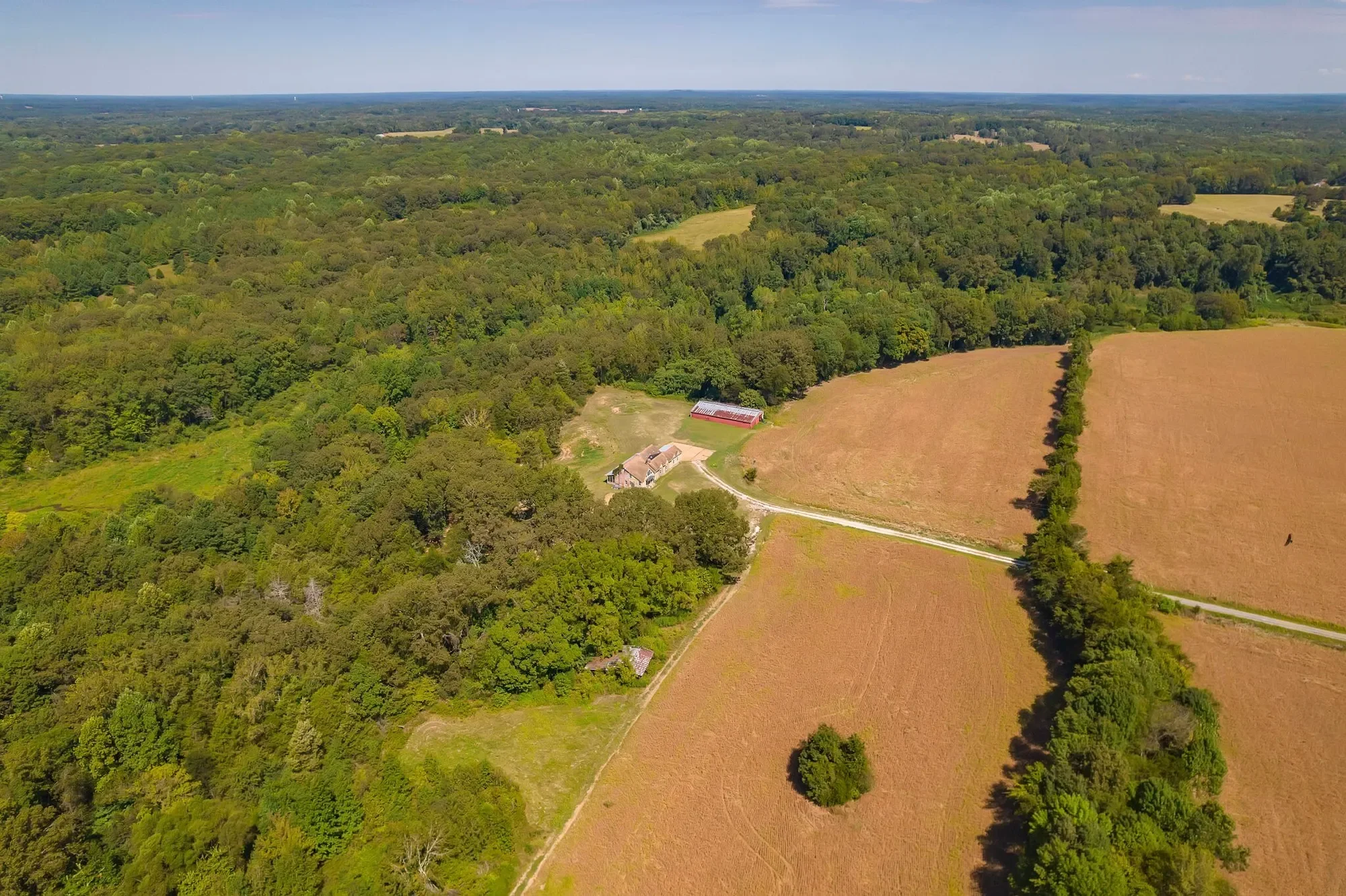 290 Leeford Ln , Cedar Grove, TN 38321, Cedar Grove, Tennessee, United States. - Photo 3