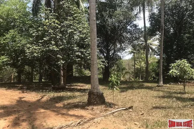 Phang Nga,, Kalai, Phang-nga, Thailand. - Photo 11