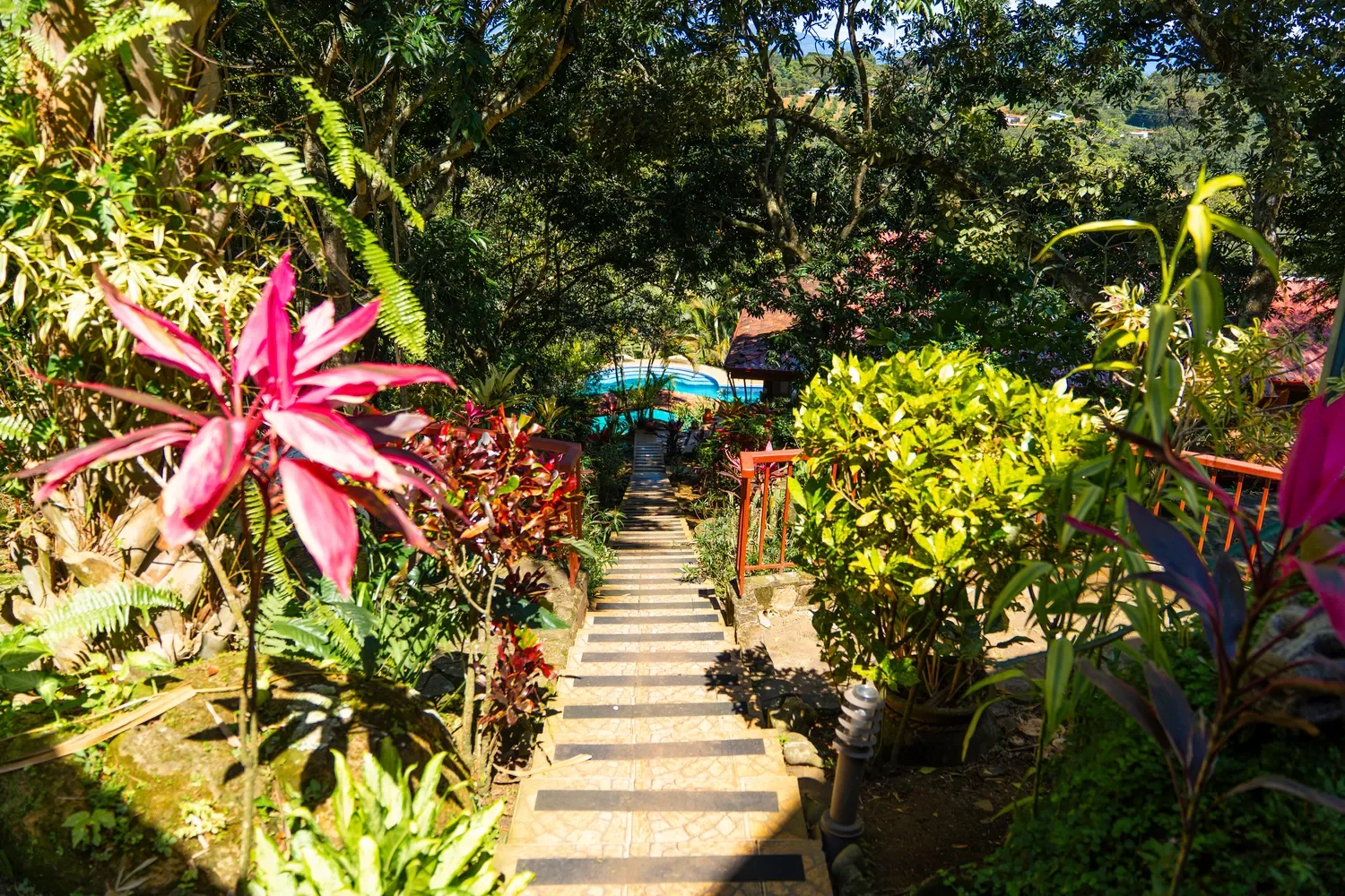 Alajuela Province, Atenas, Costa Rica, Atenas, Alajuela Province, Costa Rica. - Photo 51