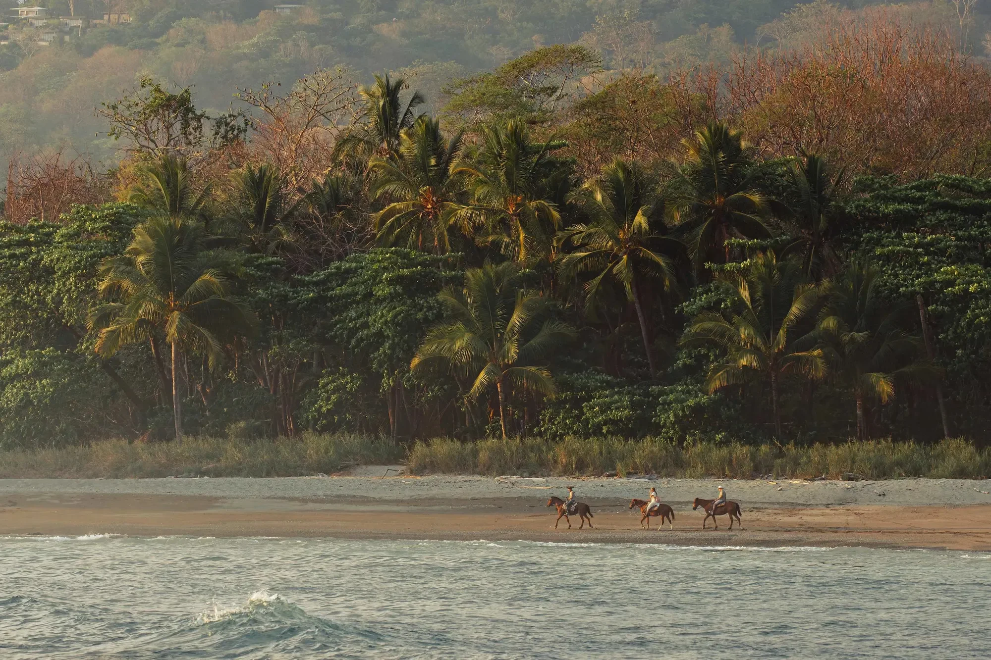 JRHX+4P6, Puntarenas Province, Puntarenas, Costa Rica, Punta Arenas, Puntarenas Province, Costa Rica. - Photo 21