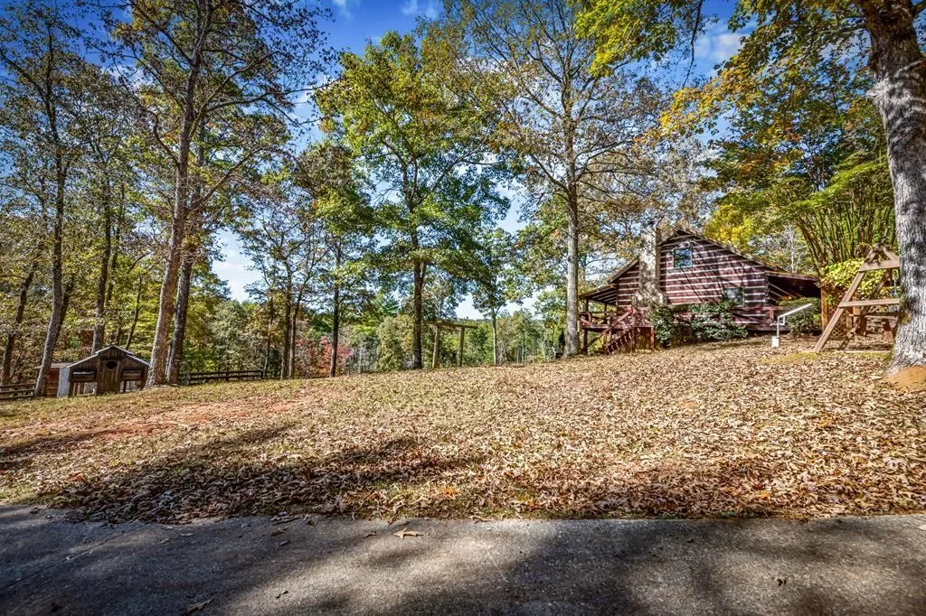 212 Dogpatch Lane, Blue Ridge, Georgia, United States. - Photo 51