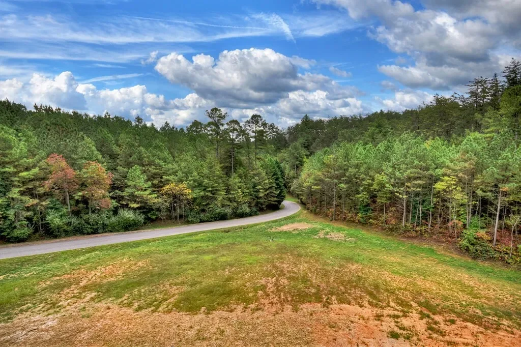 123 Ridgeline Drive, Turtletown, Tennessee, United States. - Photo 24