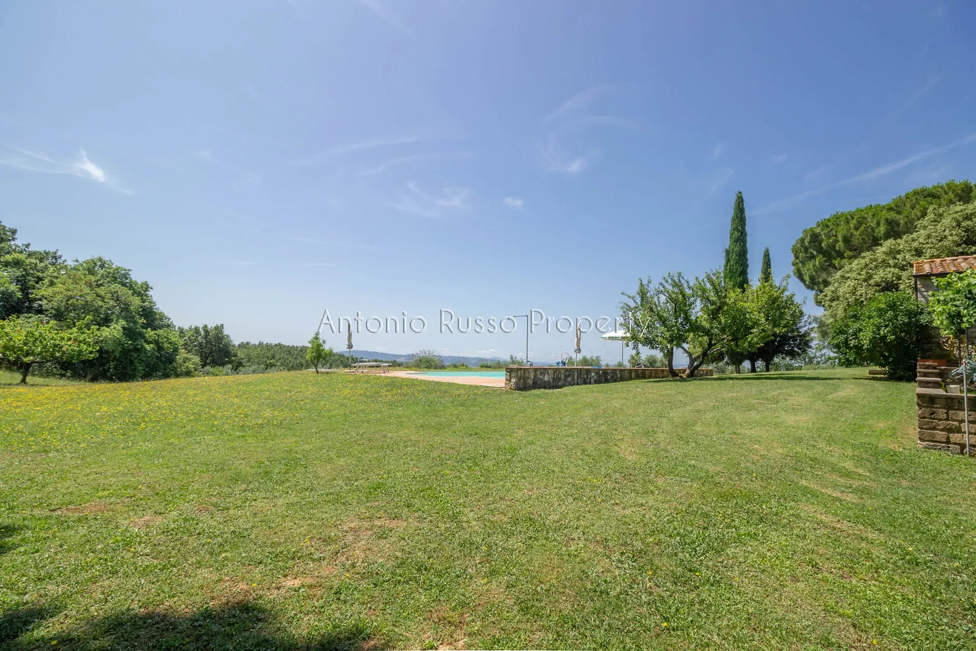 Gallery photo 11