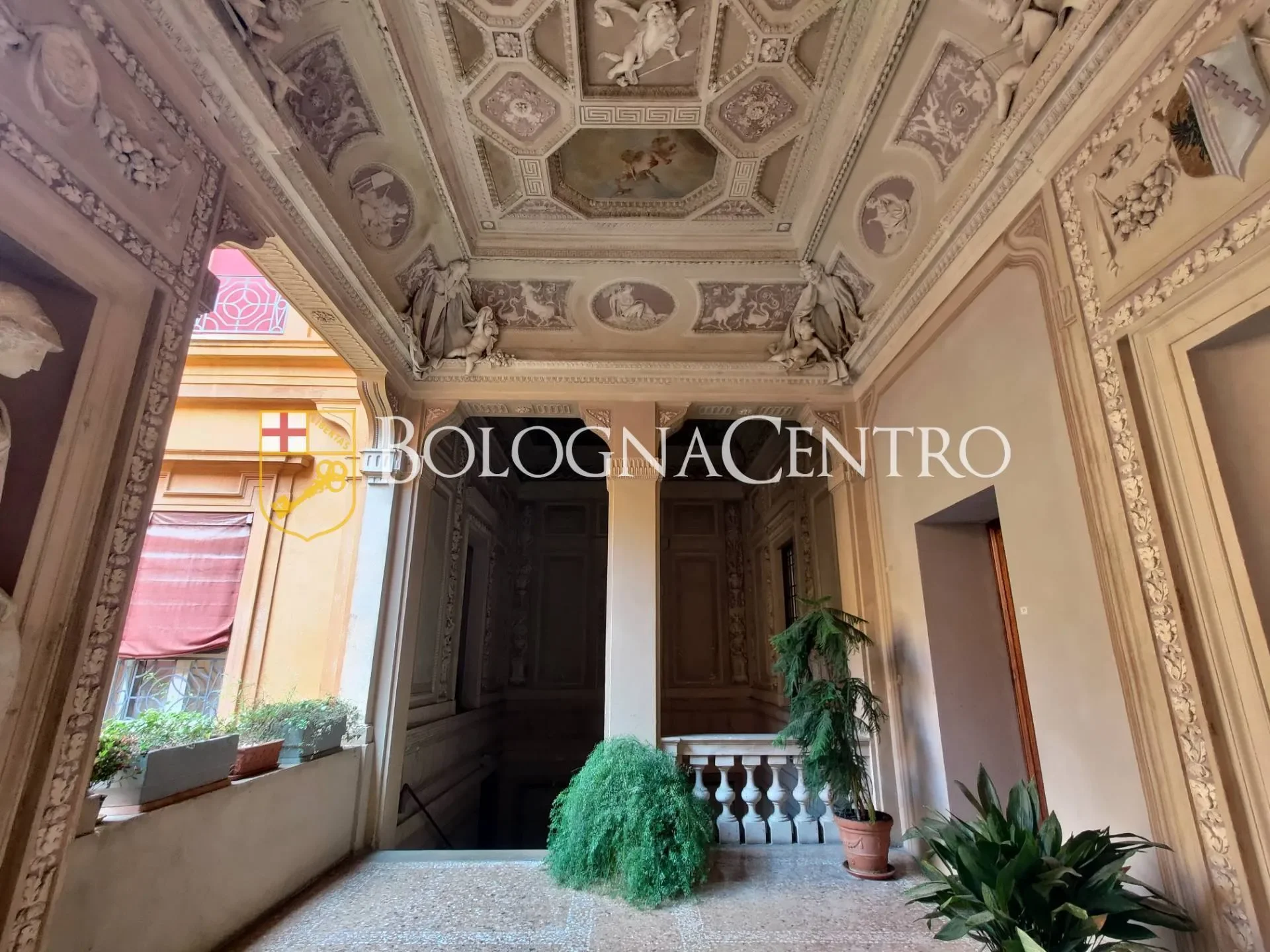 Gallery photo 8