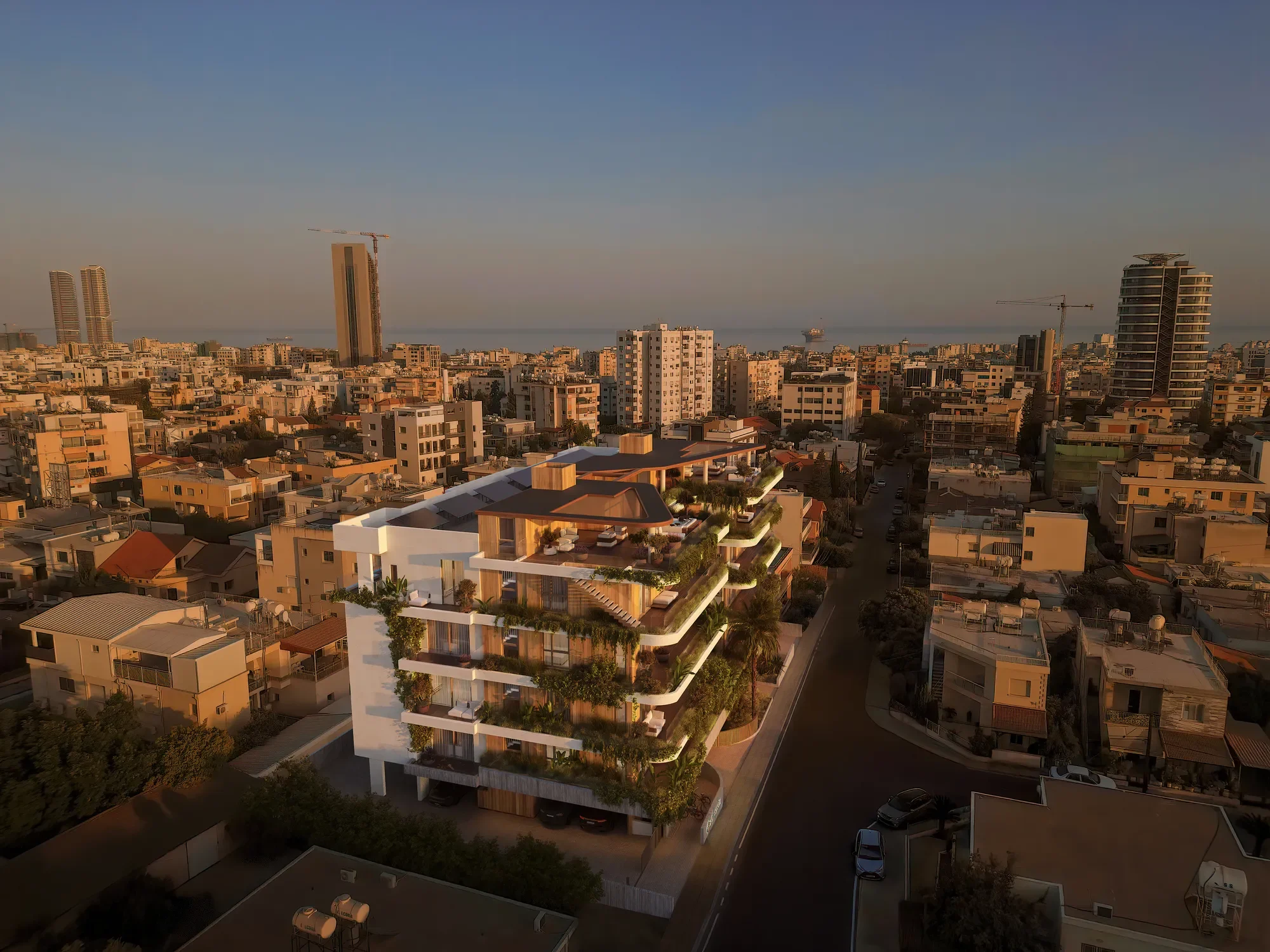 Gallery photo 5
