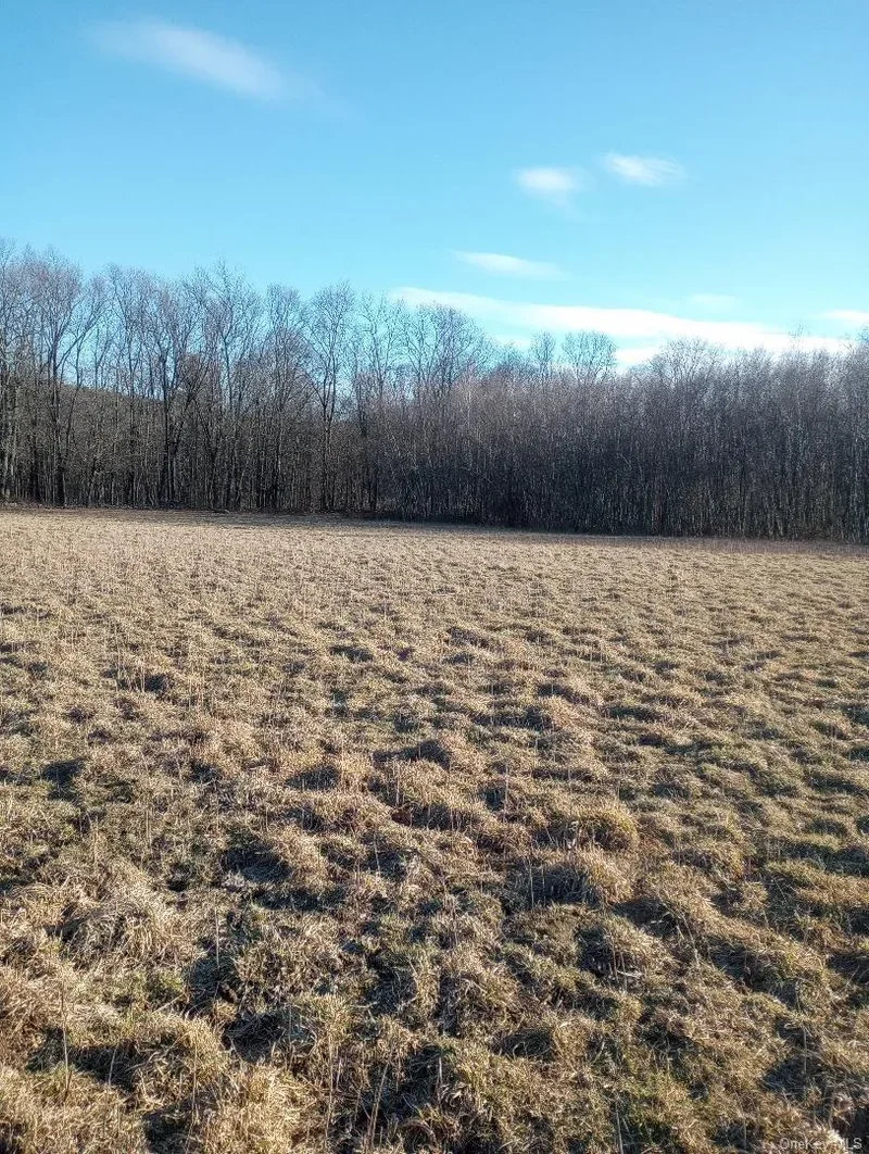 Myers RD. Westtown, NY 10 Myers Road, Westtown, NY 10998, Westtown, New York, United States. - Photo 3
