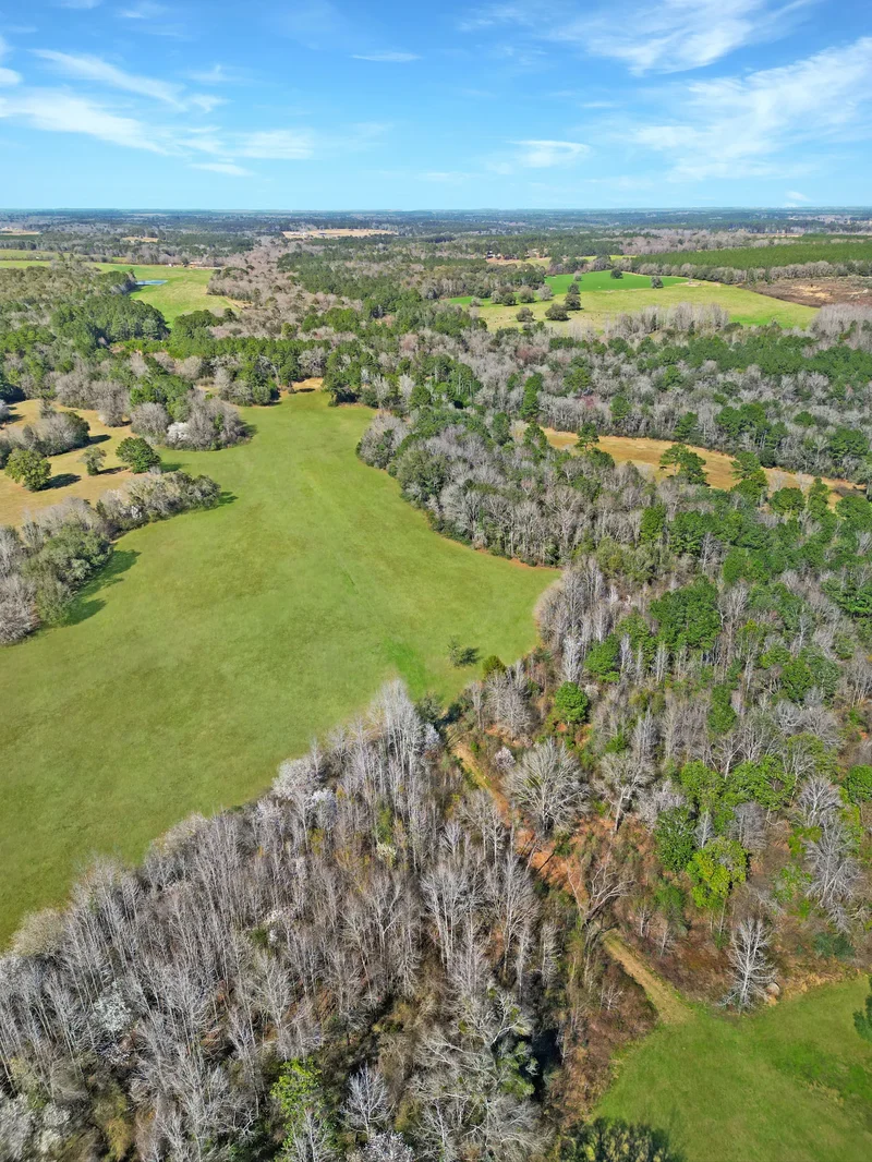 4343 East Plympton Road , Laurel Hill, FL 32567, Laurel Hill, Florida, United States. - Photo 38