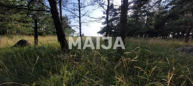 Balgali, Ziemupe, Latvia. - Photo 9