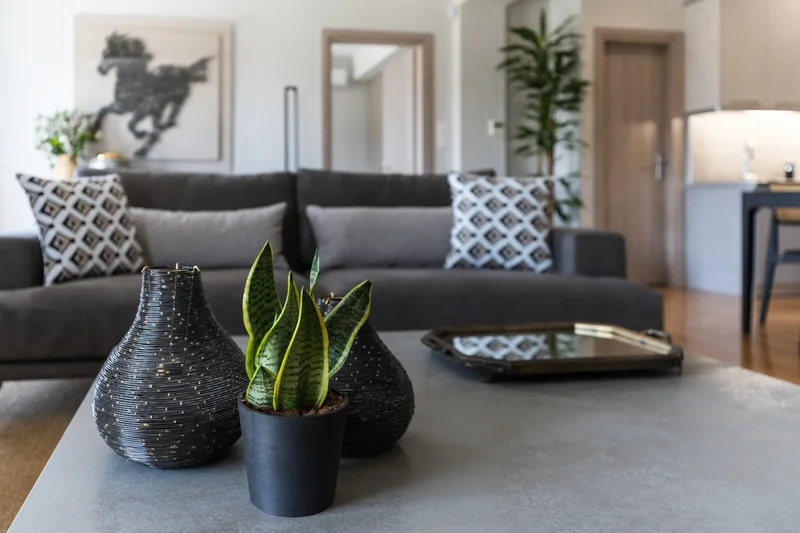 Apartment of minimal aesthetics in the hearth of Athens