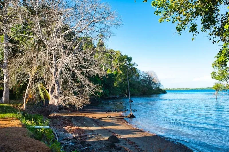 Quebrada de Piedra, Panama, Quebrada de Piedra, Chiriquí Province, Panama. - Photo 15