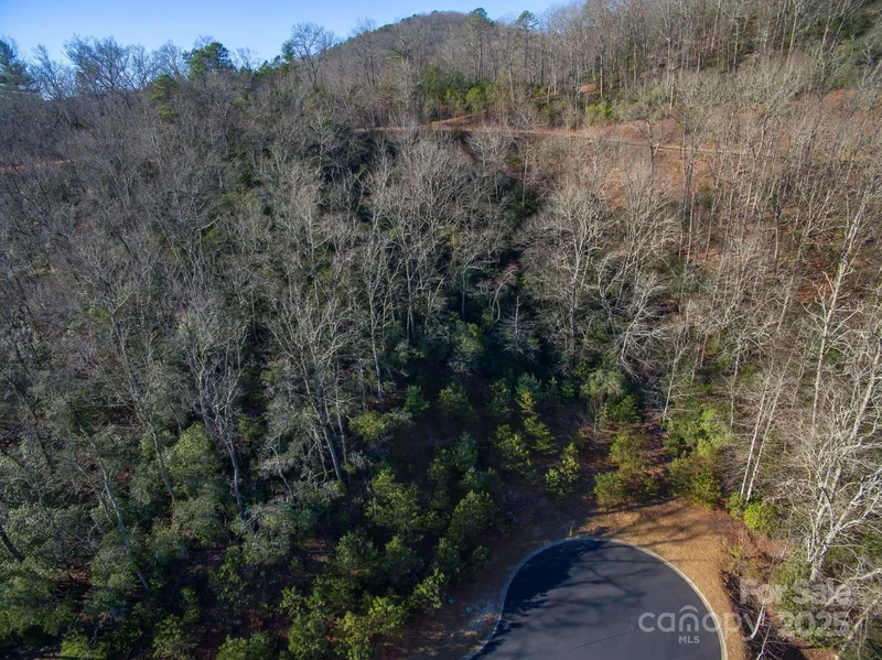 9999 Mayfly Lane 106, Horse Shoe, North Carolina, United States. - Photo 17