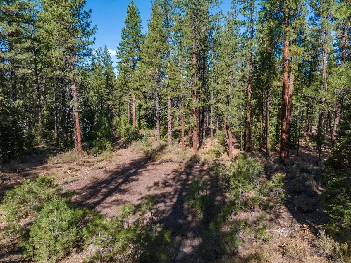 10797 Regency Circle, Truckee, California, United States. - Photo 4