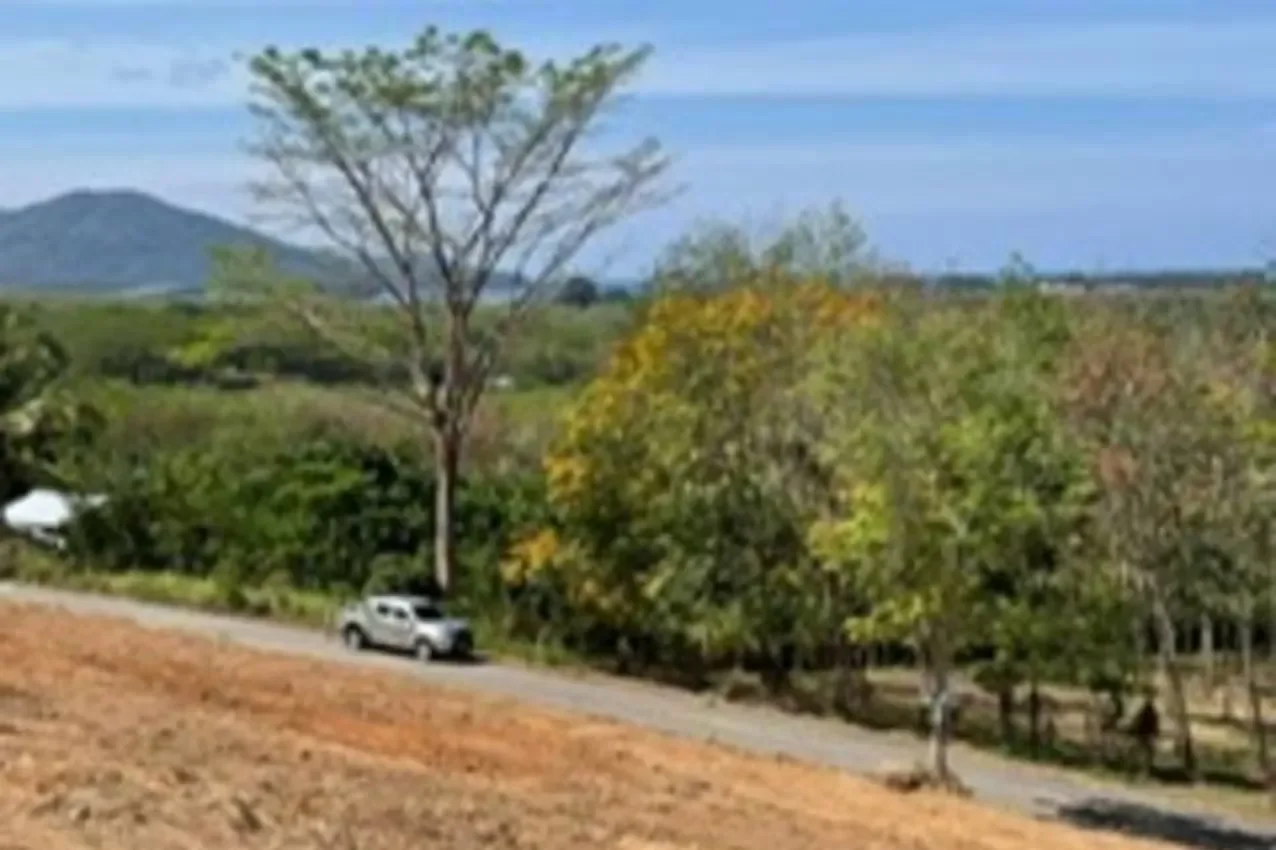 Phuket,, Mai Khao, Phuket, Thailand. - Photo 14