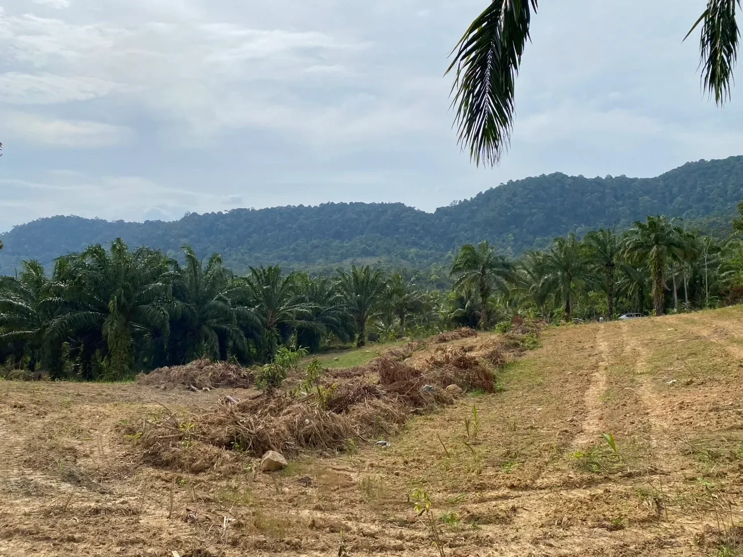 Krabi,, Nong Thale, Krabi, Thailand. - Photo 21