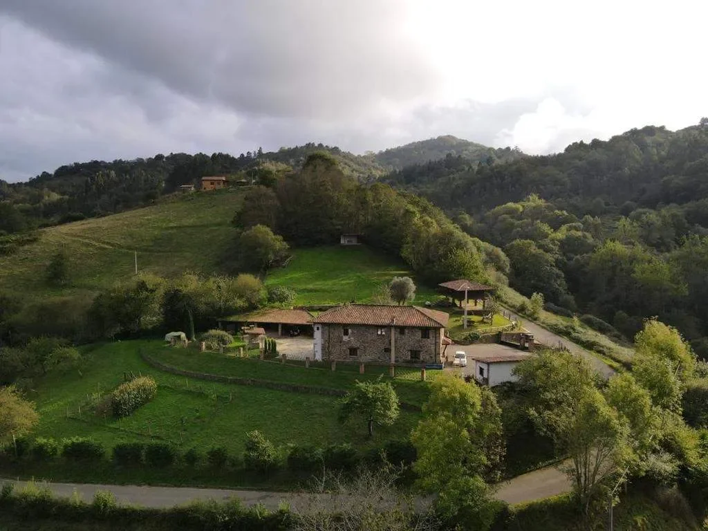 Villaviciosa, Villaviciosa, ASTURIAS, Villaviciosa, Villaviciosa, Asturias, Spain. - Photo 14