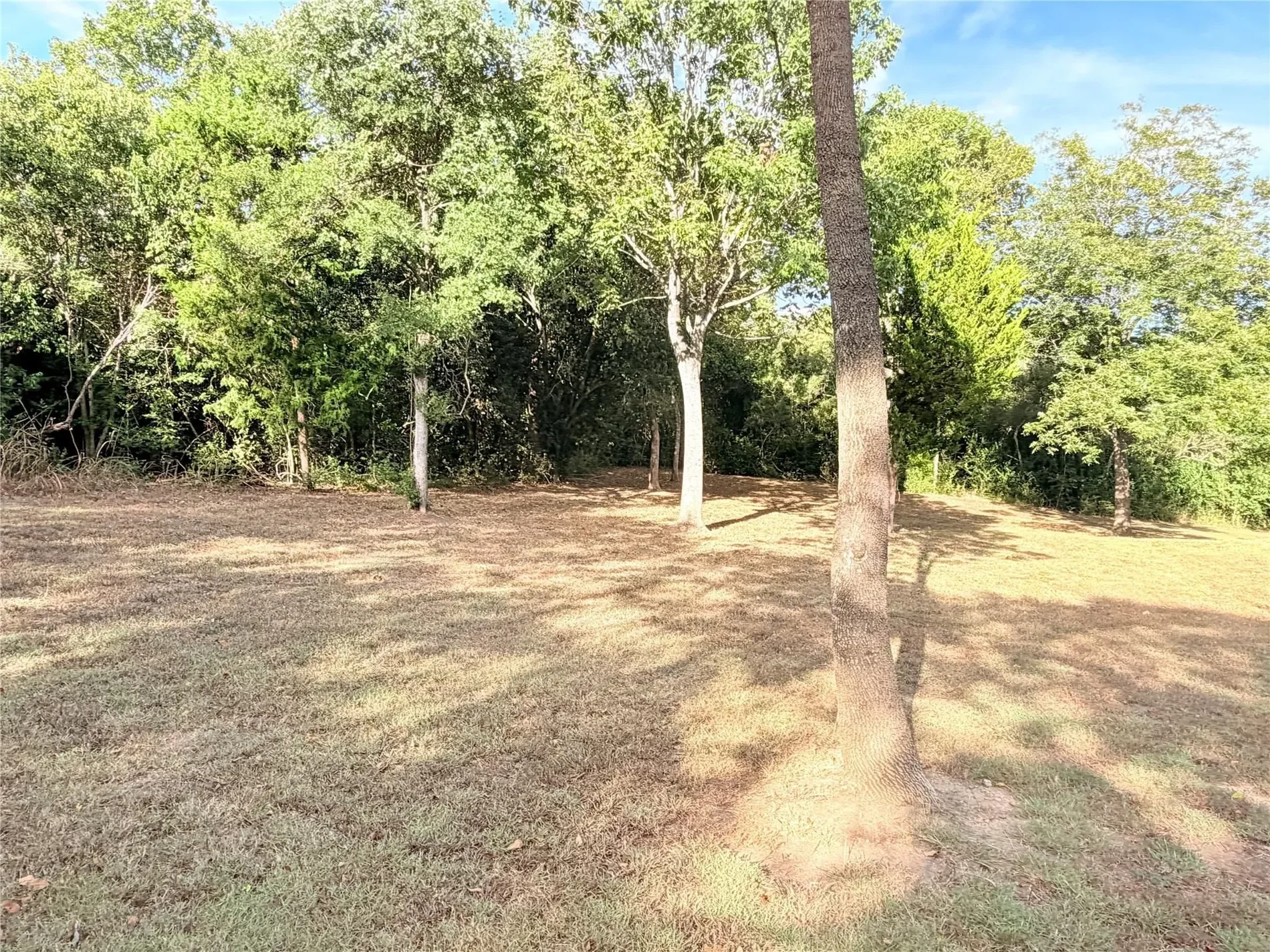 238 Chappell Grove Lane , Chappell Hill, TX 77426, Chappell Hill, Texas, United States. - Photo 3