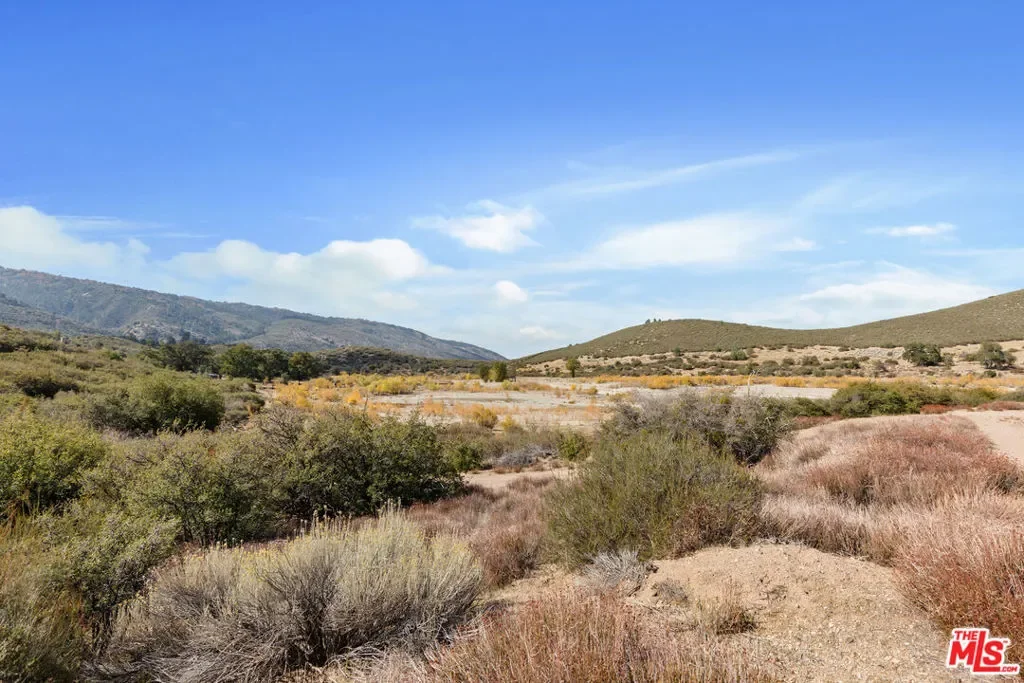 28765 Pine Canyon Road, Lake Hughes, California, United States. - Photo 43