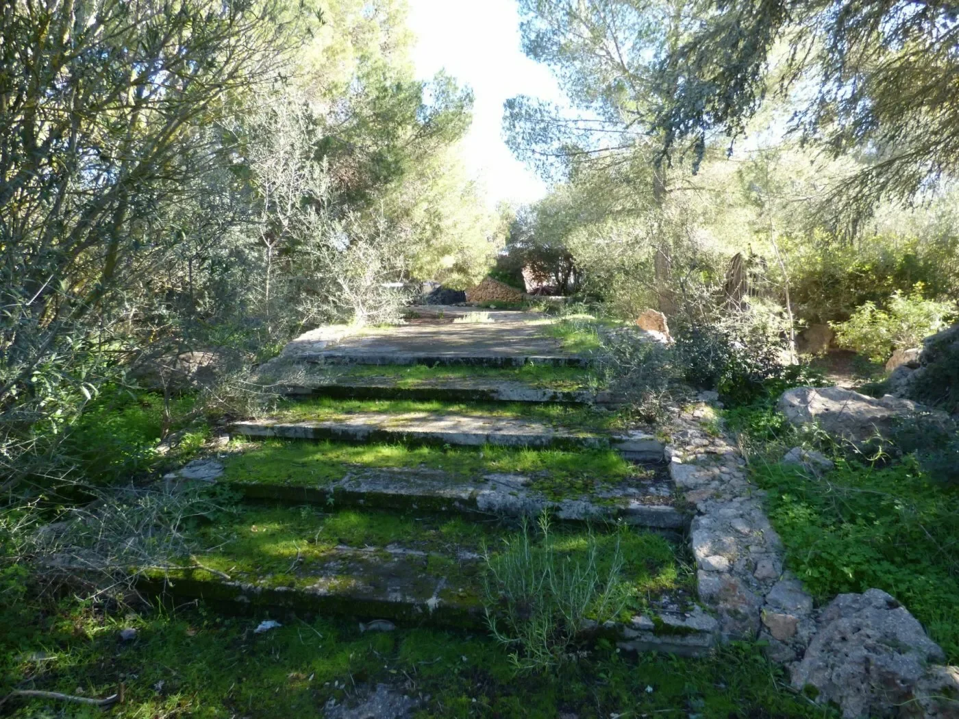 Sa Torre, Llucmajor, BALEARES, Llucmajor, Balearic Islands, Spain. - Hero Image