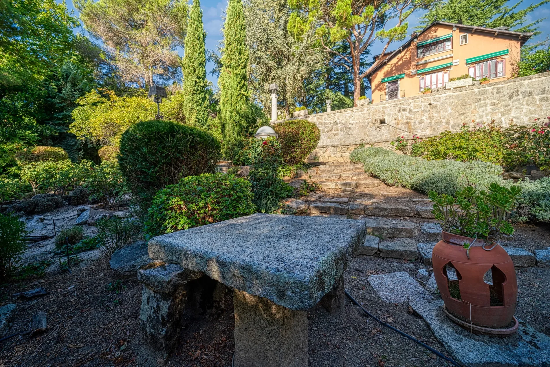Gallery photo 8