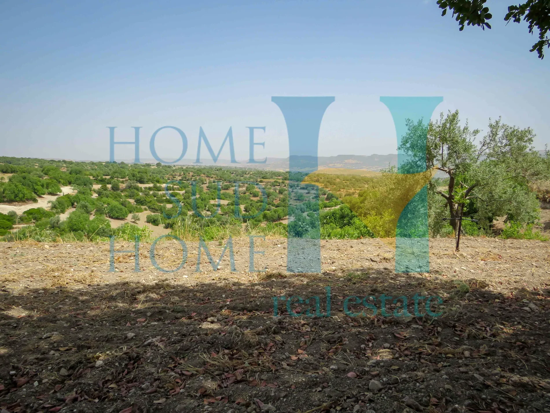 96019 Rosolini, Province of Syracuse, Italy, Rosolini, Sicily, Italy. - Photo 18