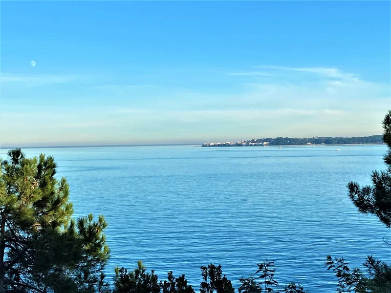 Lège-Cap-Ferret, Nouvelle-Aquitaine, France. - Photo 5