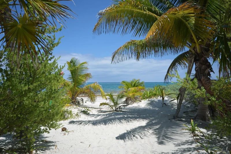 SEASIDE PARADISE Camino Tulum-Boca Paila, Lote 108 Fracción 3 del predio rústico denominado "Paso de Juana", fracción 1, de la fracción 6, Tulum, ROO, Boca Paila, Quintana Roo, Mexico. - Photo 47