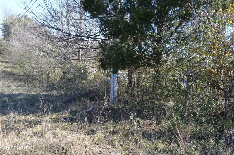 Sparta Hwy 63.3 Acres, Crossville, TN 38555, Crossville, Tennessee, United States. - Photo 60