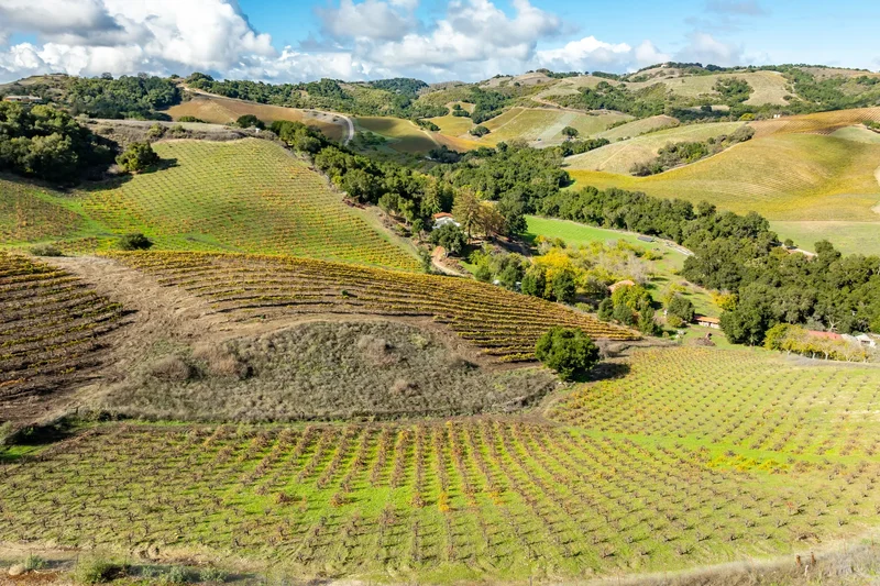 Peachy Canyon Road , Paso Robles, CA 93446, Paso Robles, California, United States. - Photo 16
