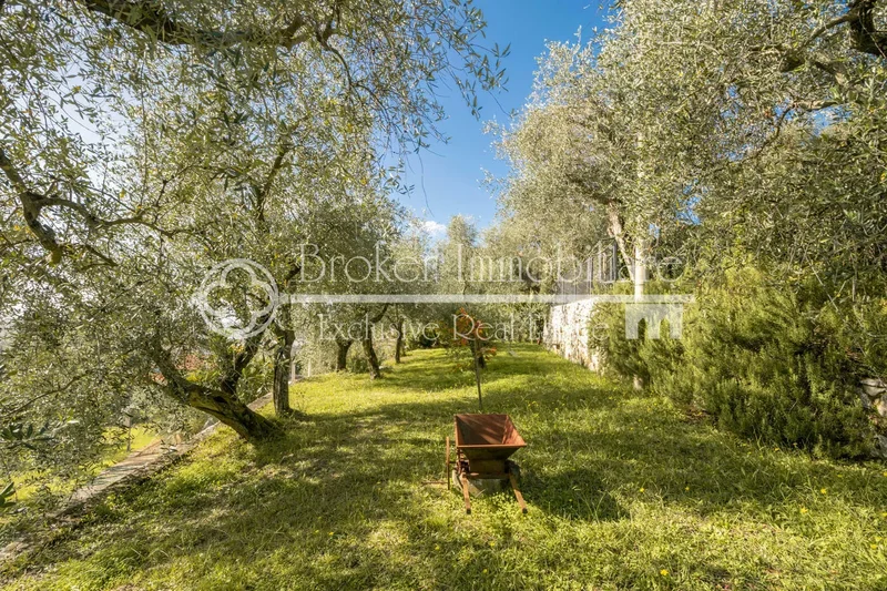 Via Verdi, 1, Lucca, Marina di Pietrasanta, Tuscany, Italy. - Photo 13