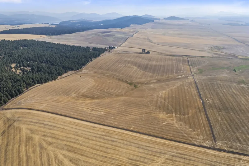 8597 W Rolling Hills Road, Worley, ID 83876, Worley, Idaho, United States. - Photo 18