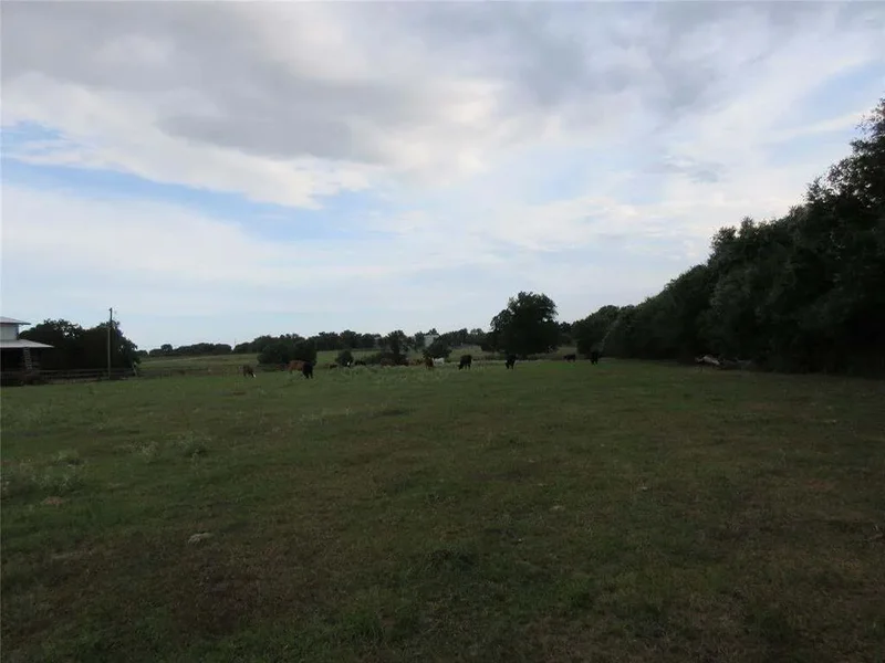 000 Clapp, Pattison, TX 77423, Pattison, Texas, United States. - Photo 8