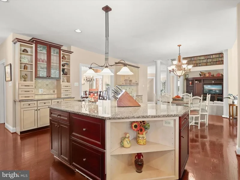 12667 GOLDEN OAK DR, ELLICOTT CITY, MD, 21042, USA, West Friendship, Maryland, United States. - Photo 38
