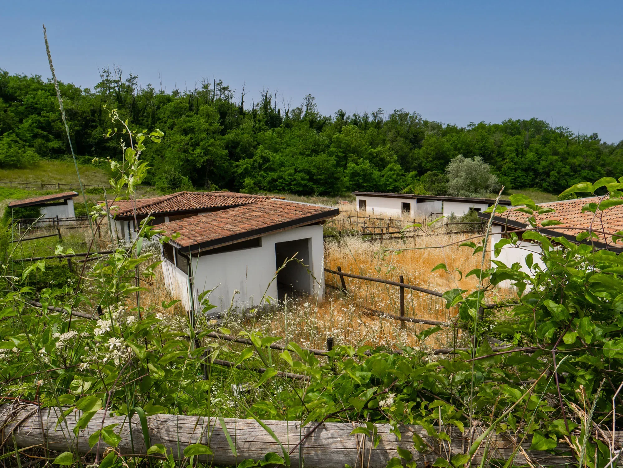 15051 Carezzano AL, Italy, Carezzano Superiore, Piedmont, Italy. - Photo 53