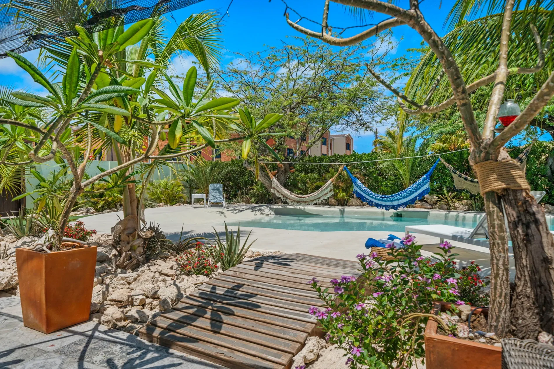 Noord, Aruba. - Photo 17