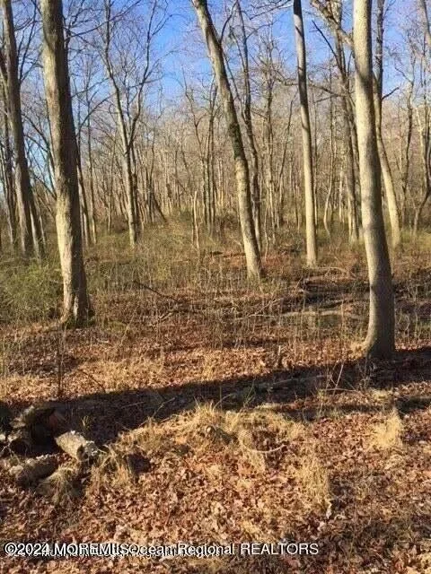 45 Iron Ore Road, Manalapan, NJ 07726, Manalapan Township, New Jersey, United States. - Photo 18