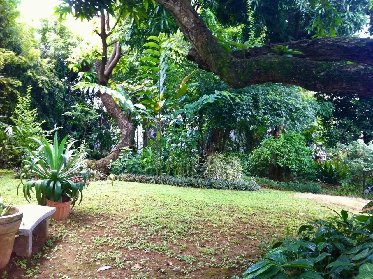 Gallery photo 3