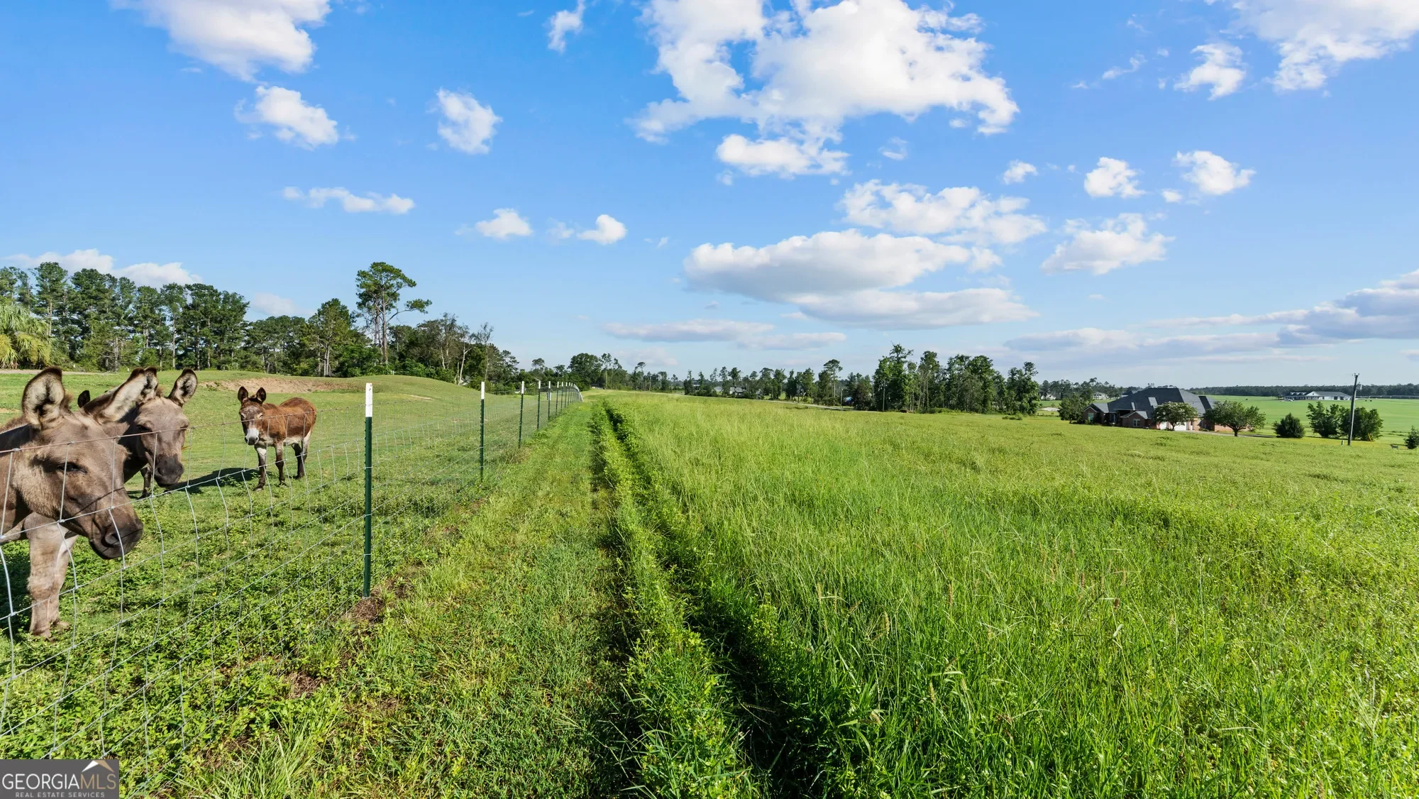 485 Beaver Kreek Road, Douglas, GA 31533, Douglas, Georgia, United States. - Photo 51
