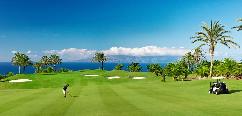 38679 Costa Adeje, Santa Cruz de Tenerife, Spain, Costa Adeje, Adeje, Canary Islands. - Photo 11
