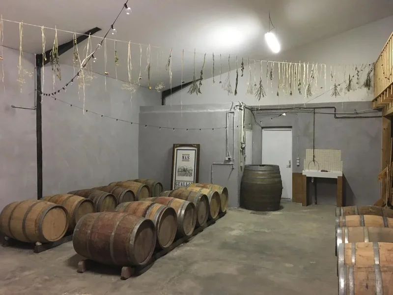 Tautavel, Occitanie, France. - Photo 24