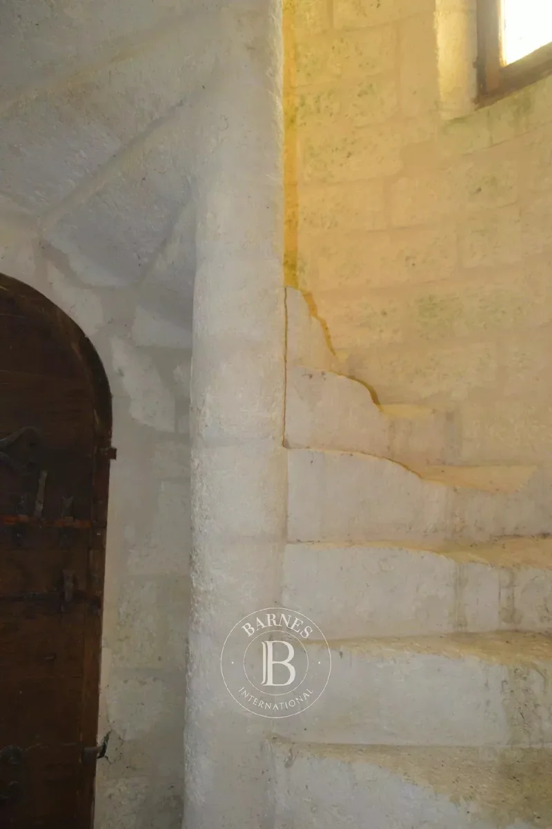 Saintes, Nouvelle-Aquitaine, France. - Photo 19