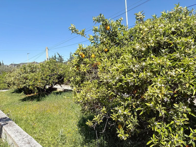 Calle Azor, Alhaurín de la Torre, Spain, Alhaurin de la Torre, Andalusia, Spain. - Photo 22